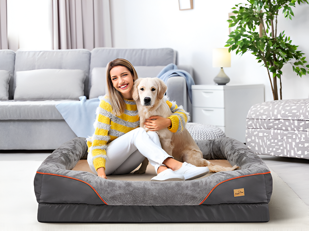 Creating a Cozy Home for Your Pets