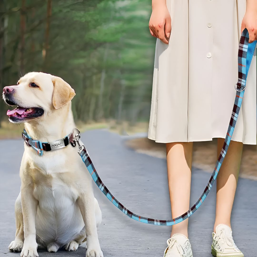 Keeping Your Pets Safe and Engaged