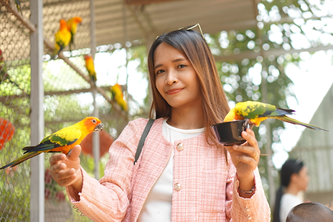 Essential Supplies for Happy Feathered Friends