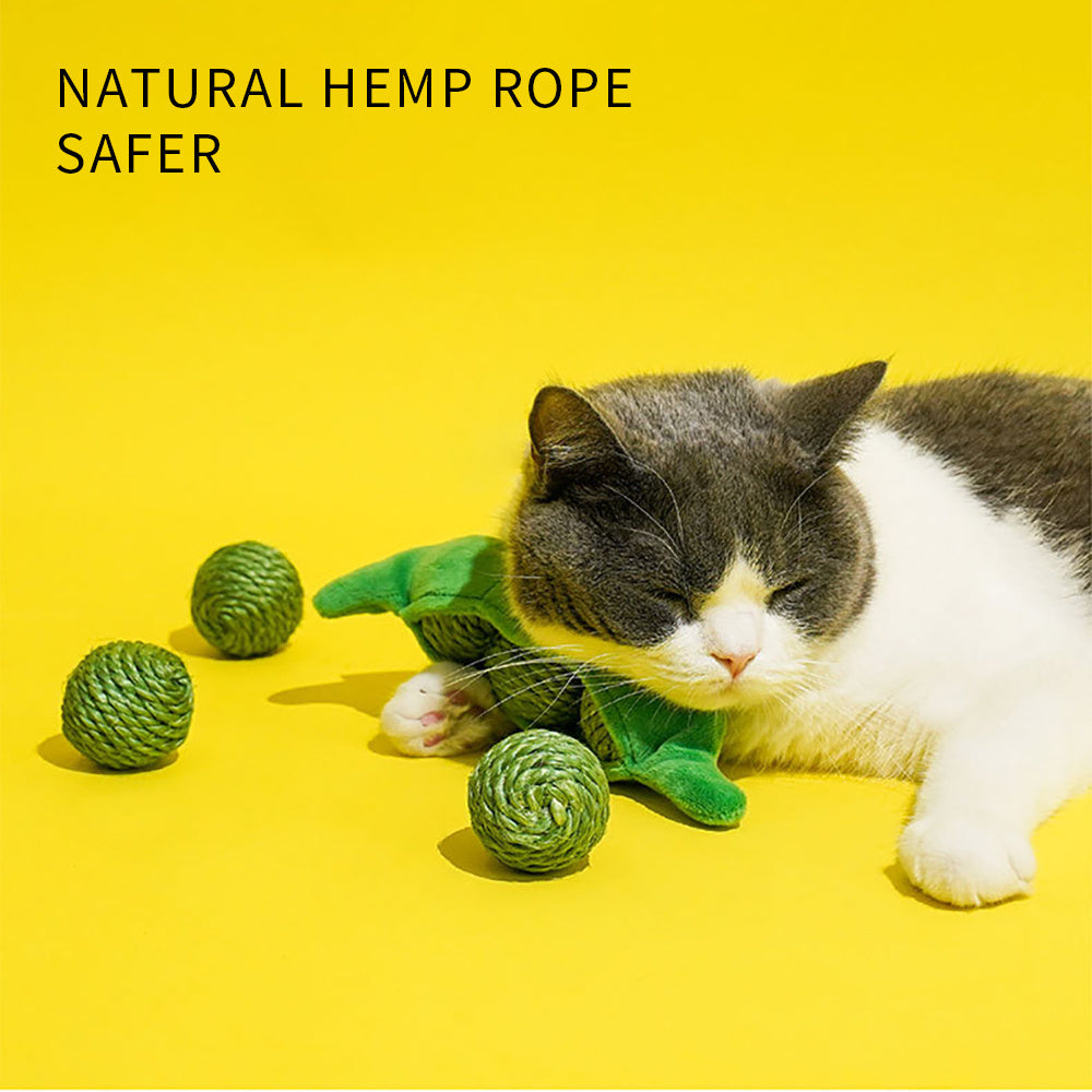 3PCS Interactive Pet Play Balls