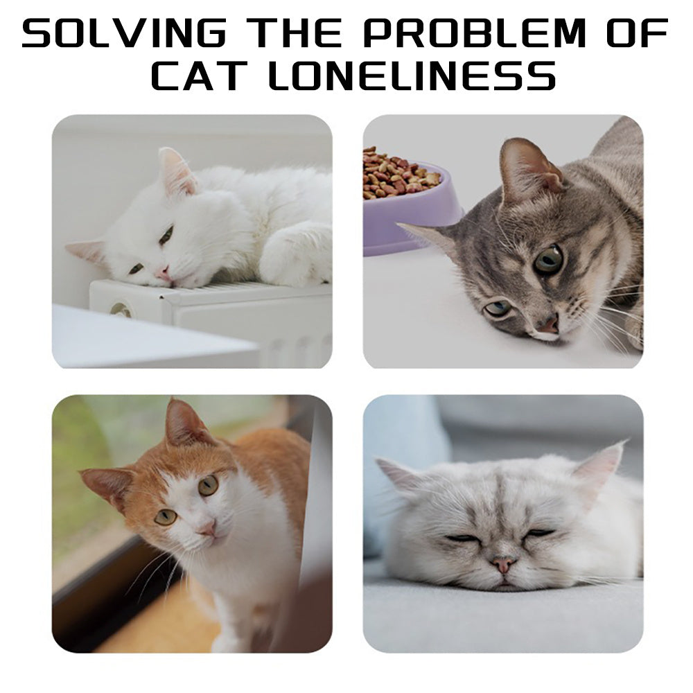 Chew Rope Interactive Pet Tug Toy