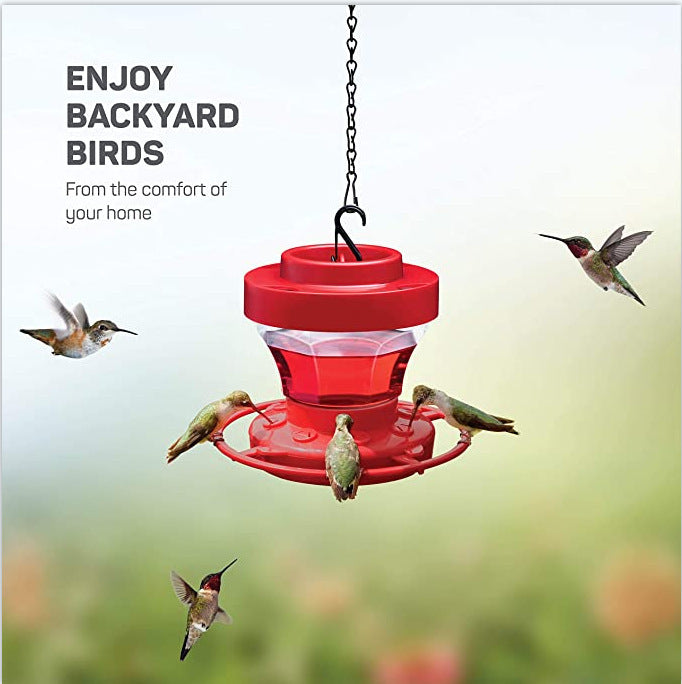 Water Drinker Bird Feeder Waterer