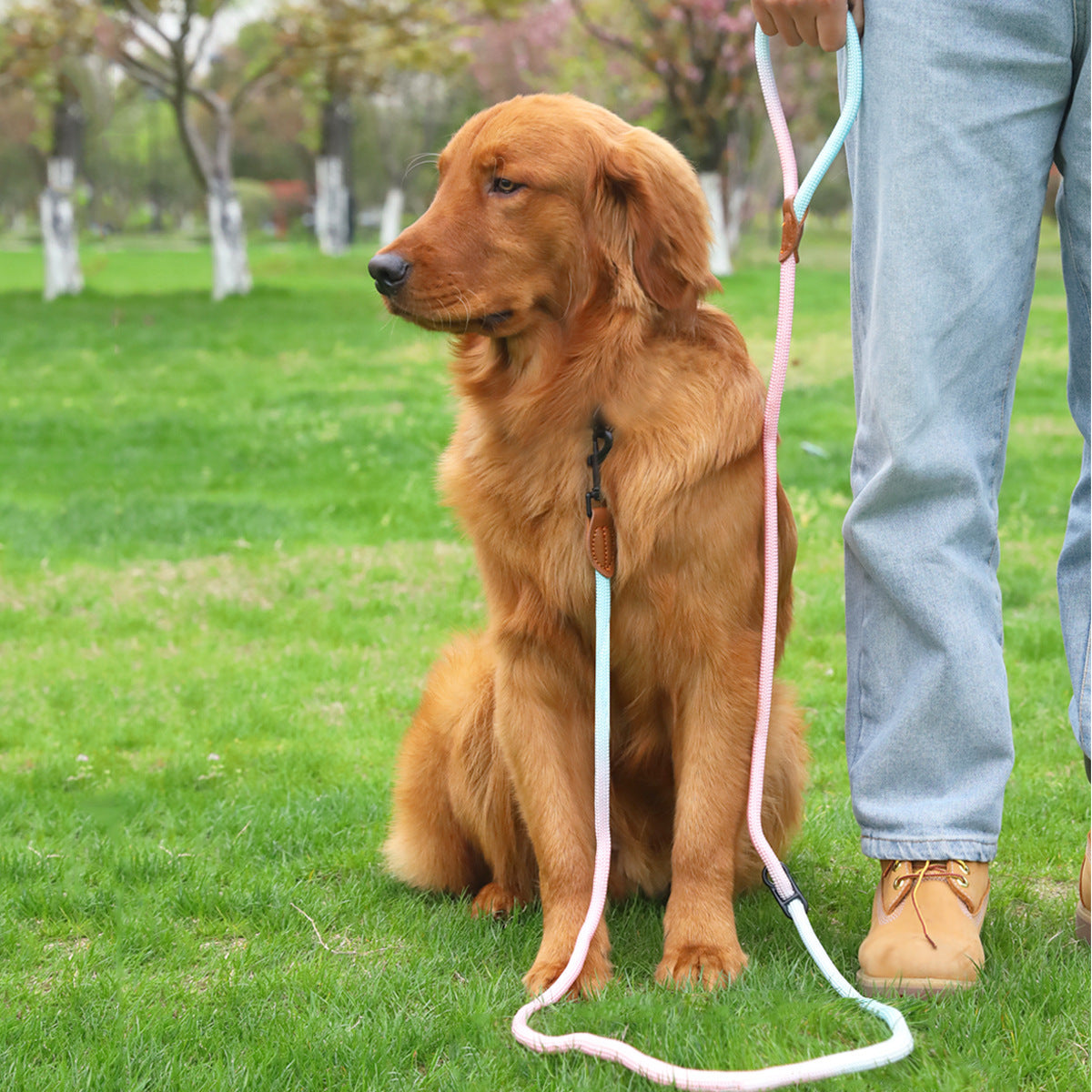 Pet Dog Walking Multi-purpose Leash