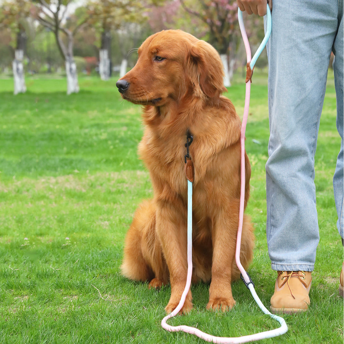 Pet Dog Walking Multi-purpose Leash