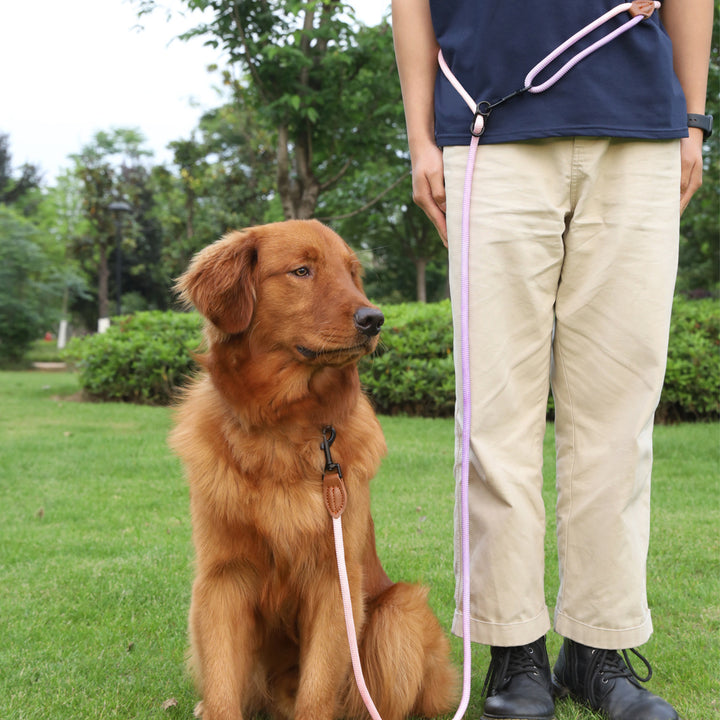 Pet Dog Walking Multi-purpose Leash
