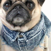 Pet Washed Denim Jacket Clothes