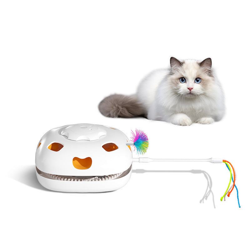 Cat Self-Hi Relief Teaser Toy