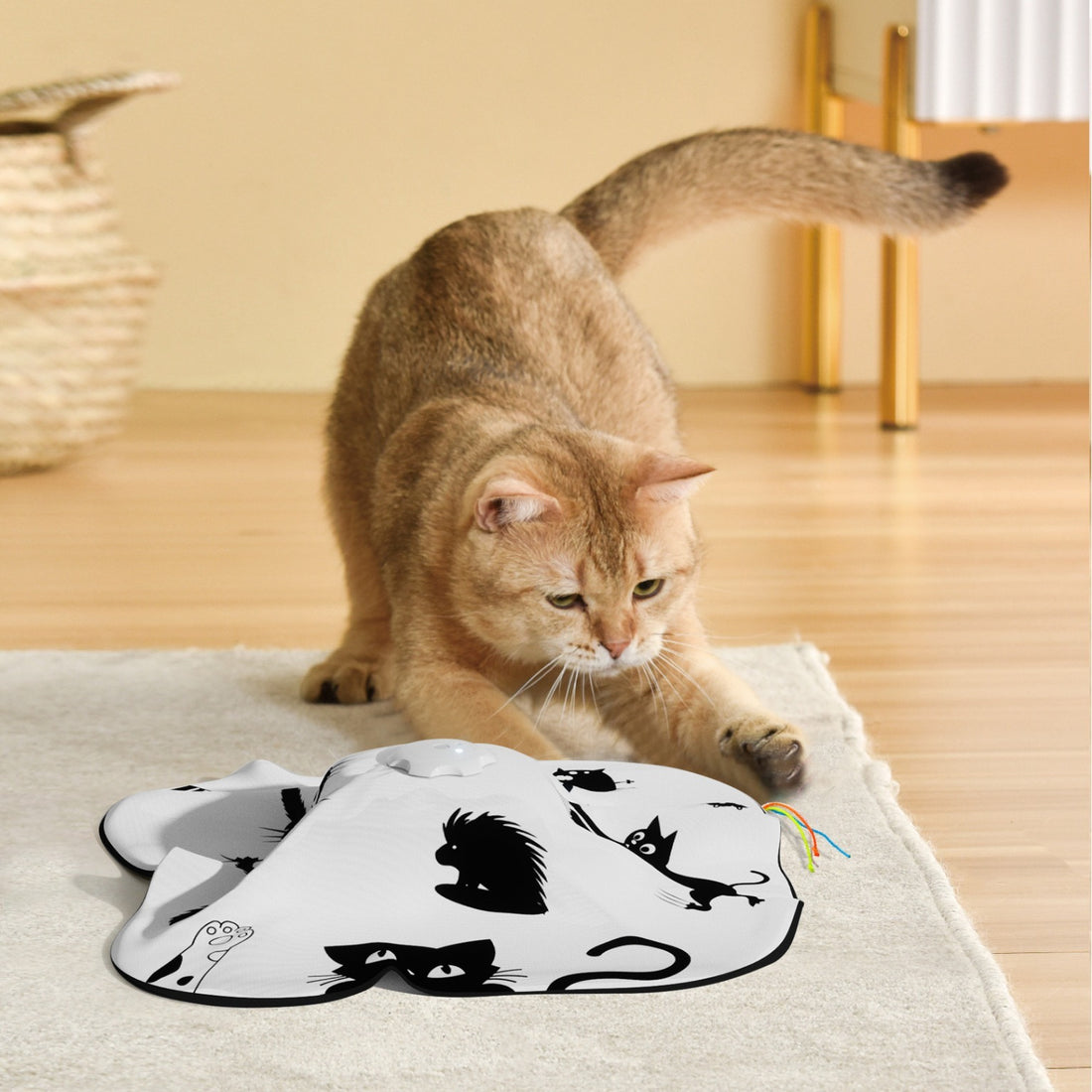 Cat Self-Hi Relief Teaser Toy