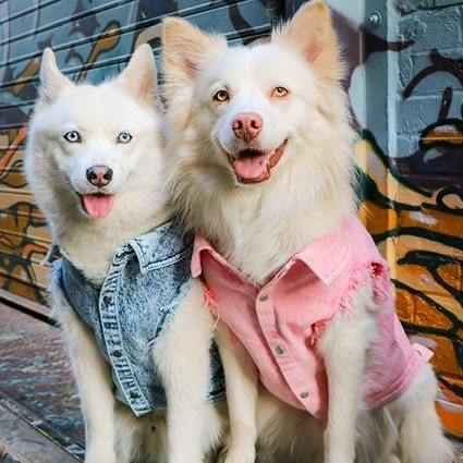 Pet Washed Denim Jacket Clothes