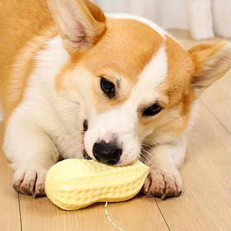 Peanut Squeaking Dog Chewing Toy