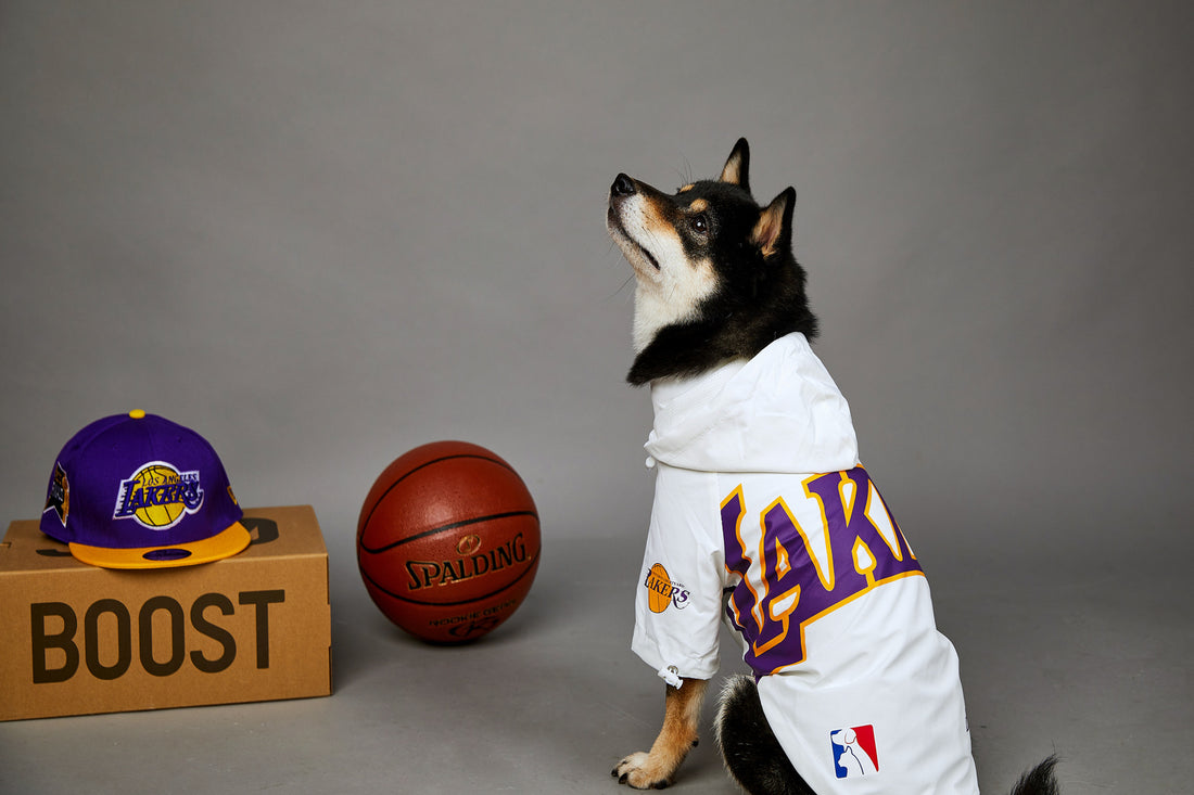 Polyester Pet Shell Jacket