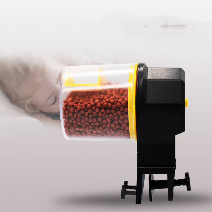 Goldfish Feeding Fish Feeder