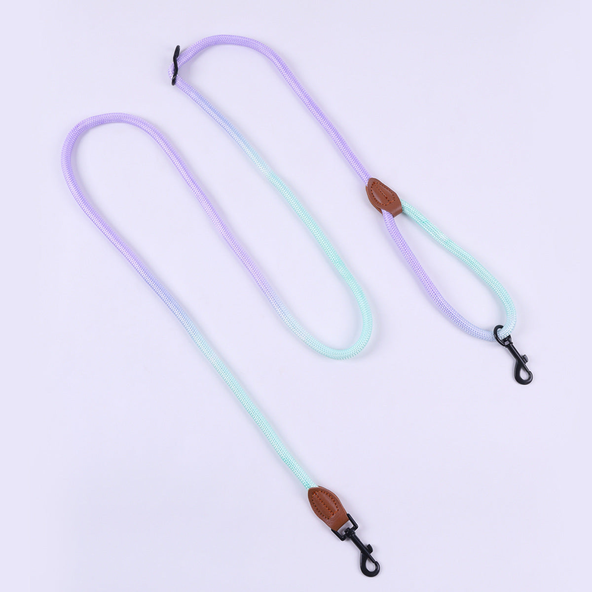 Pet Dog Walking Multi-purpose Leash