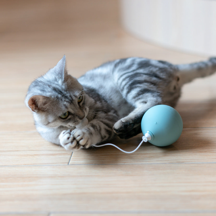 Funny electric cat toy