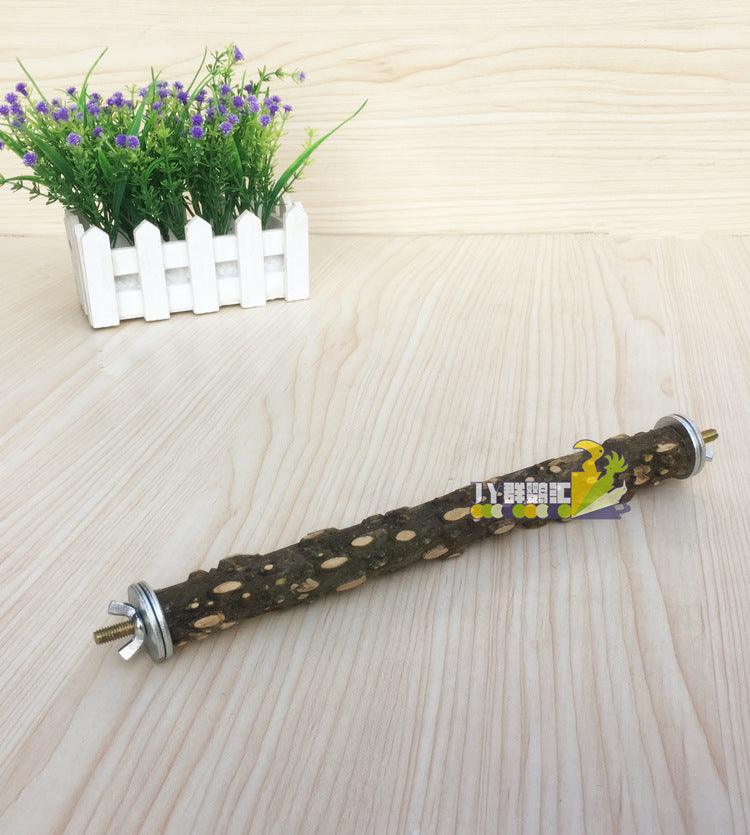 Take-away Parrot Outing Package Travel