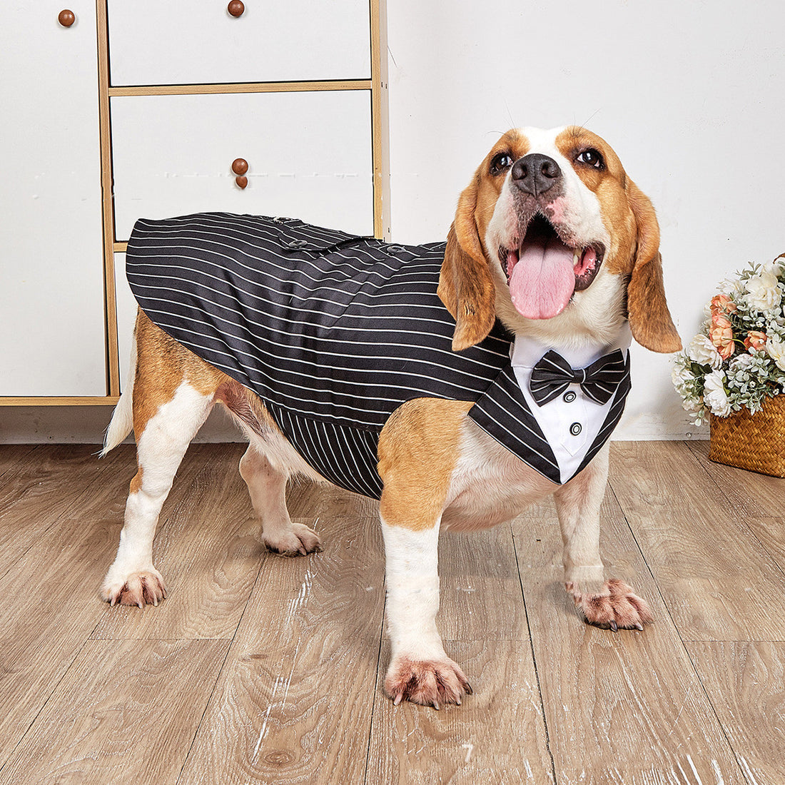 Pet Swallowtail Wedding Clothing Suit Jacket