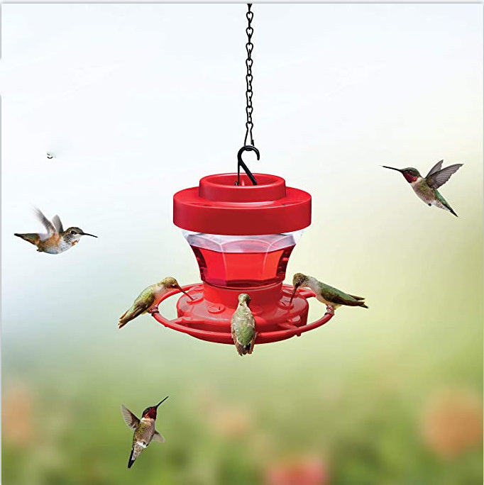 Water Drinker Bird Feeder Waterer