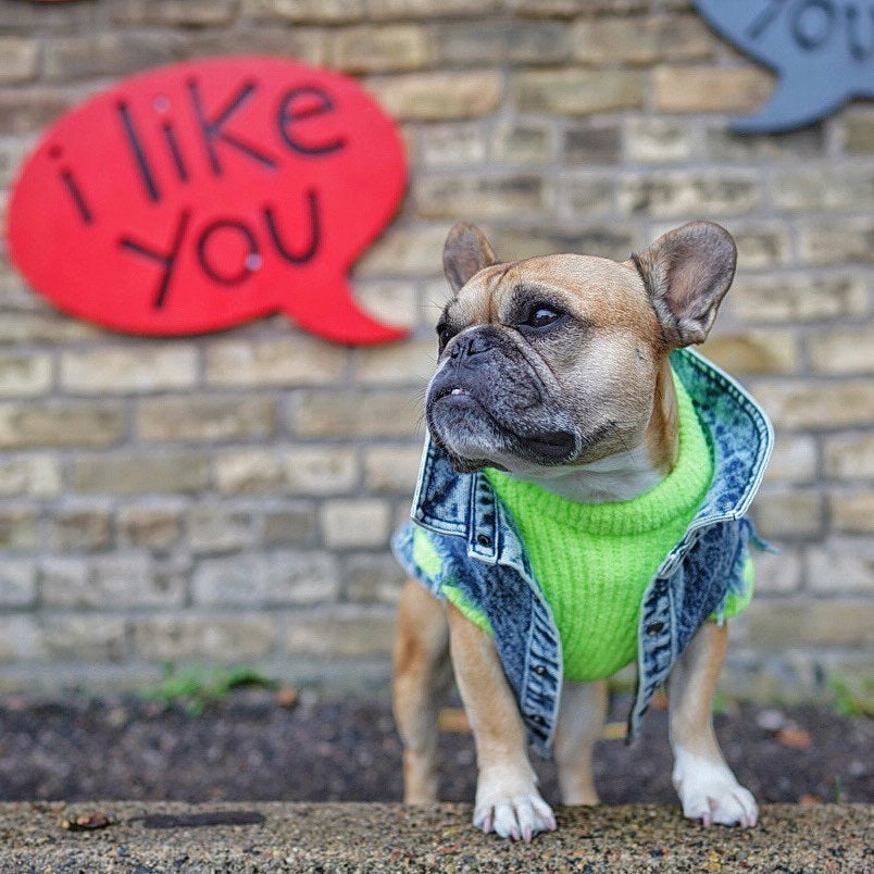 Pet Washed Denim Jacket Clothes