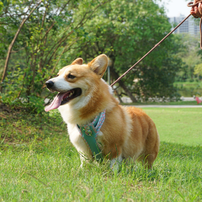 Pet Harness Reflective Leash Stripe