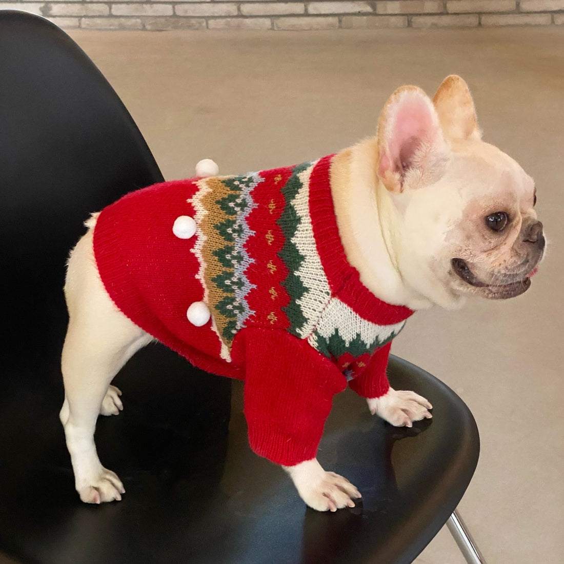 Pet Christmas Sweater