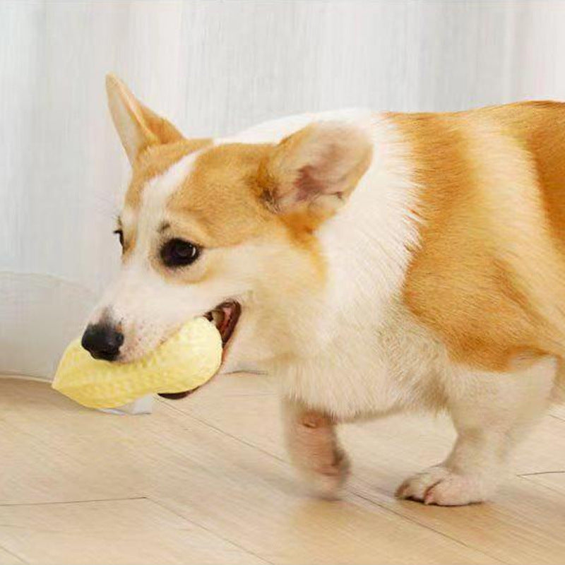 Peanut Squeaking Dog Chewing Toy