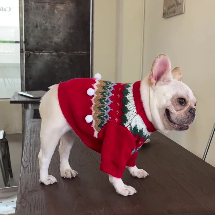 Pet Christmas Sweater