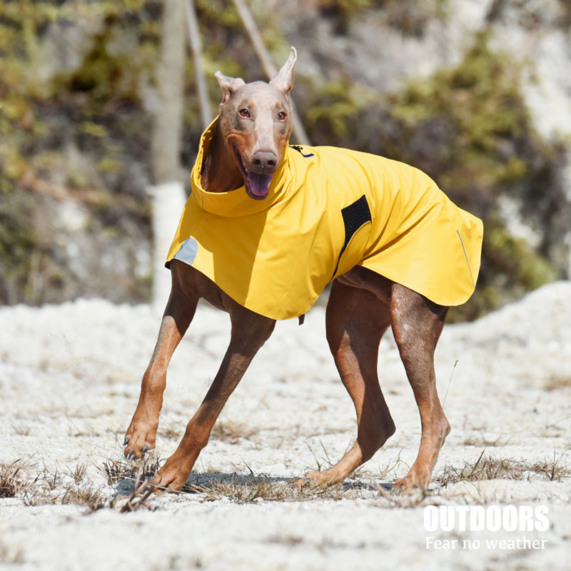 Pet Waterproof Windproof Jacket