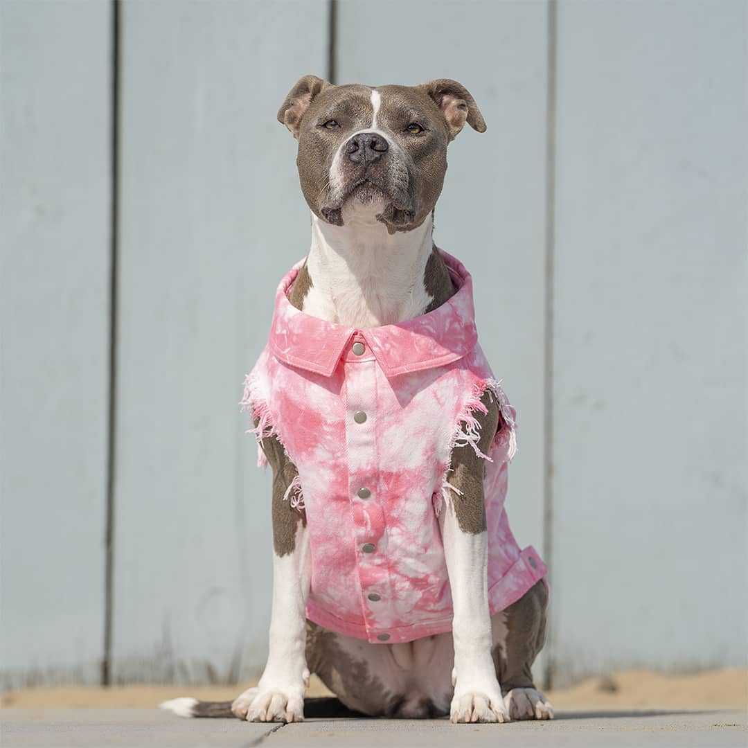 Pet Washed Denim Jacket Clothes